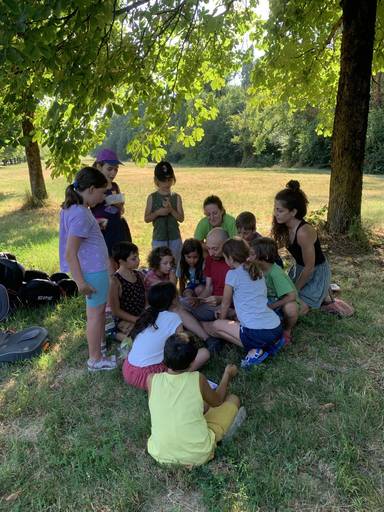 Il giovane albero mette radici