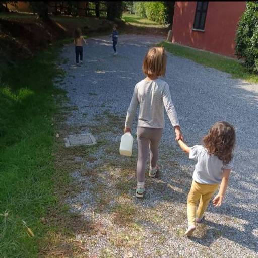 Il seme che dà inizio al bosco