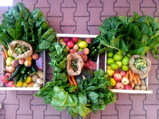 Metti in moto il bene