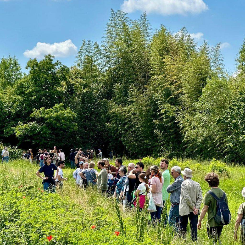 EVENTO 28 MARZO AL GIARDINO: donazioni