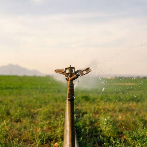 SISTEMAZIONE IMPIANTO DI IRRIGAZIONE