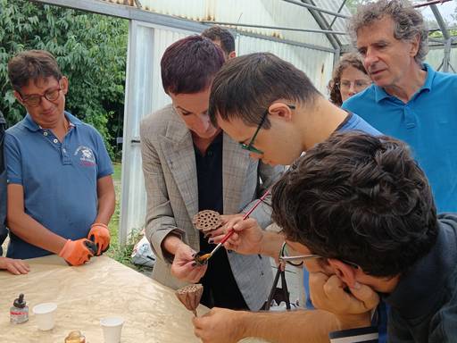 PARTECIPAZIONE A LAB ESPRESSIVI