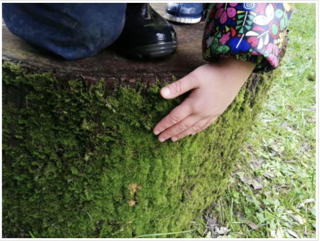 Campagna ComuniTerra