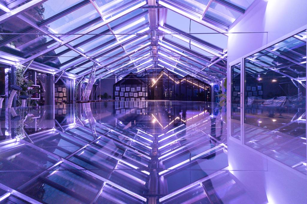 Sostieni la produzione culturale di serra madre