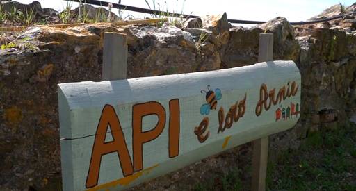 Una mattina tra le api e le mura