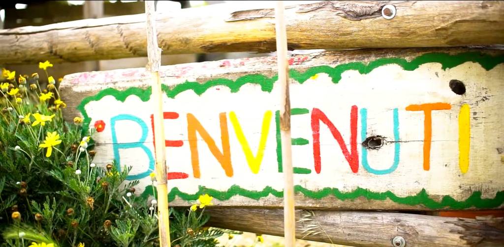 Diventa donatore mensile e fai crescere la foresta