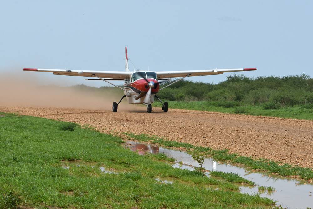 Dona un minuto di volo. Cambia una vita.