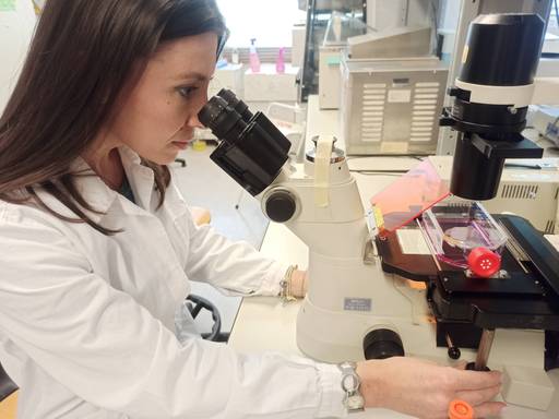 Strumenti di precisione