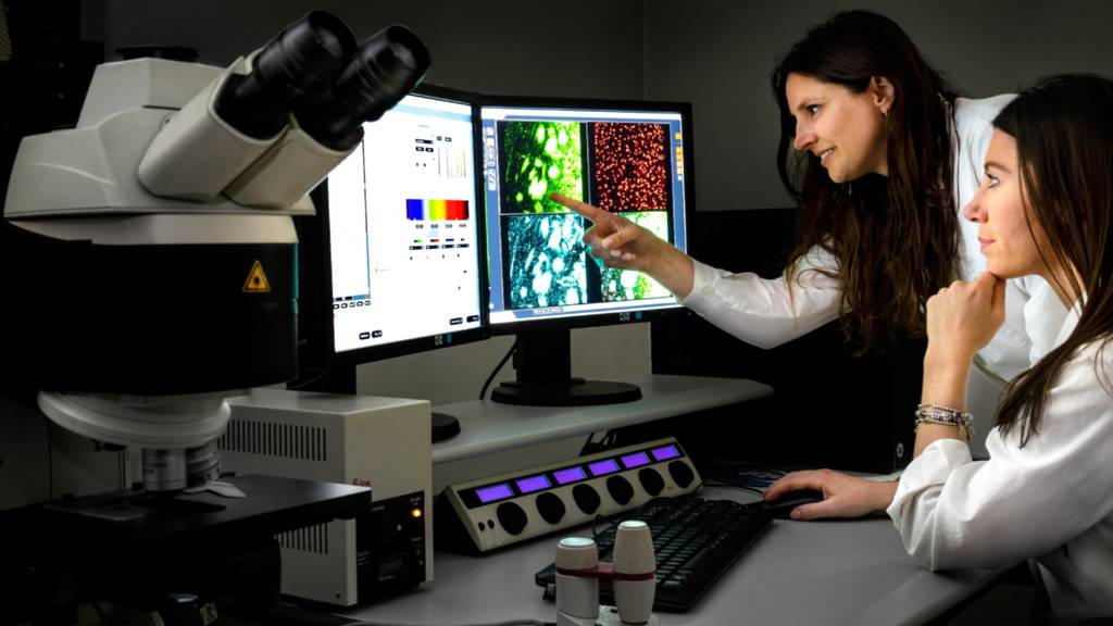 Capire il cervello è la chiave per curarlo.