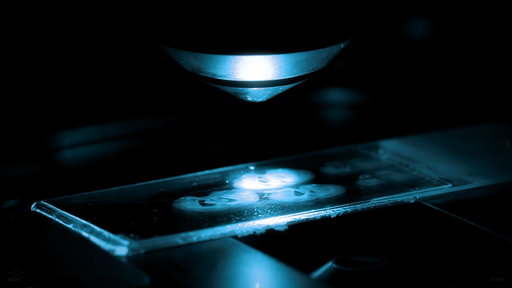 Strumenti di precisione