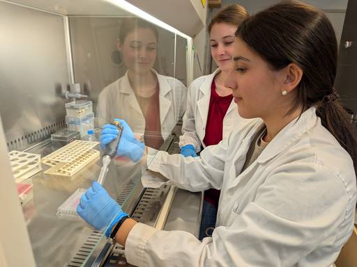 Materiale per laboratorio