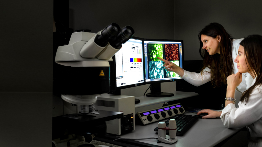 Capire il cervello è la chiave per curarlo.