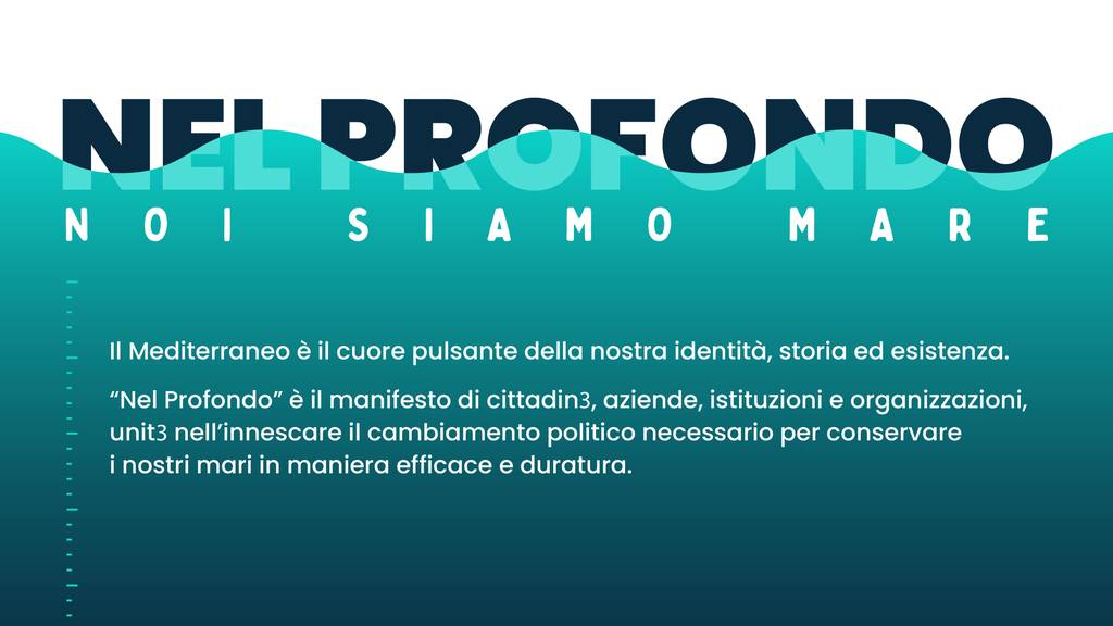 Il manifesto di Worldrise