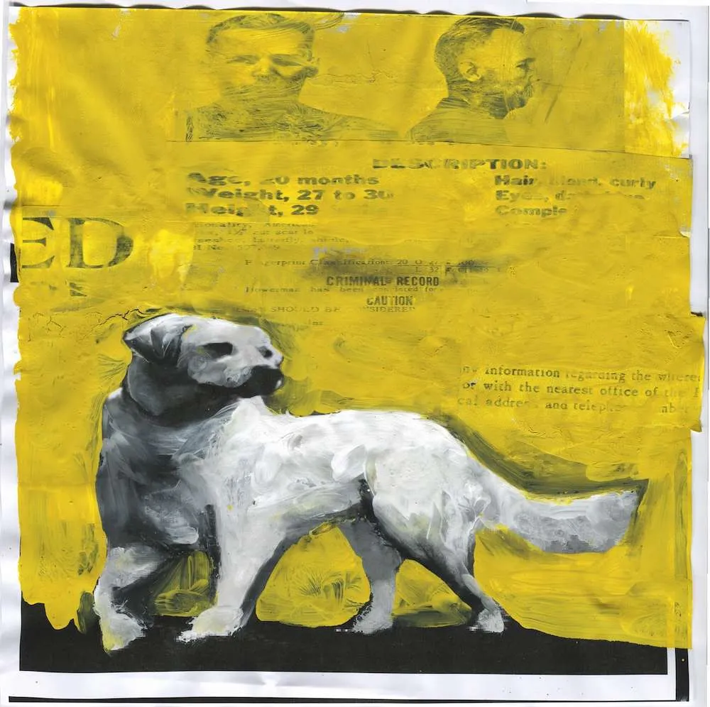 Watchdog DIG 2020 — Gianluigi Toccafondo