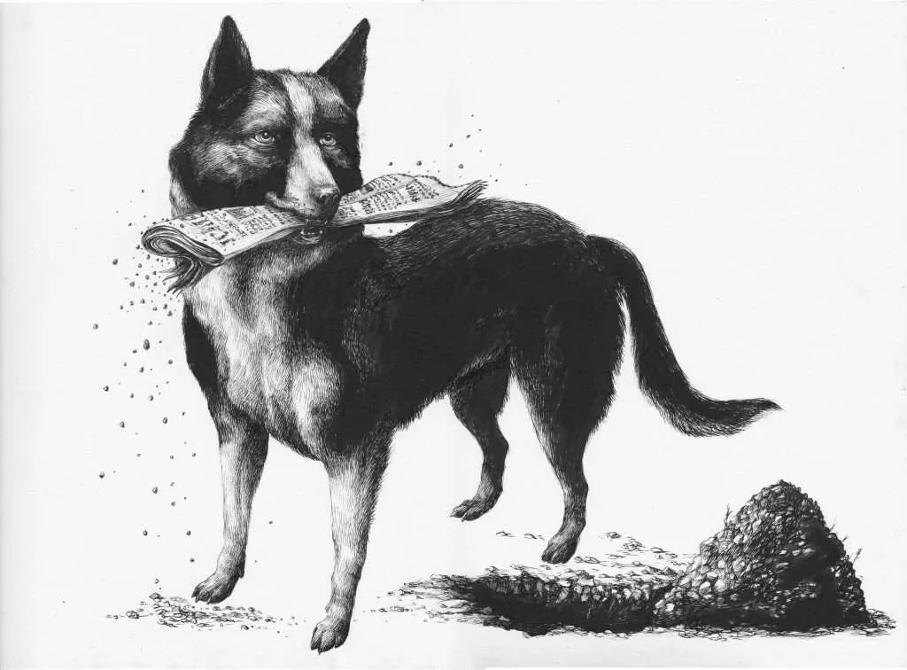 Watchdog DIG 2019 — DIG Festival