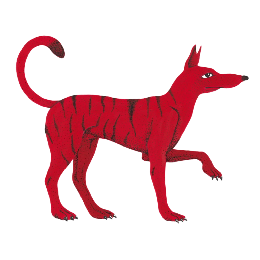 Watchdog DIG 2025 — DEM
