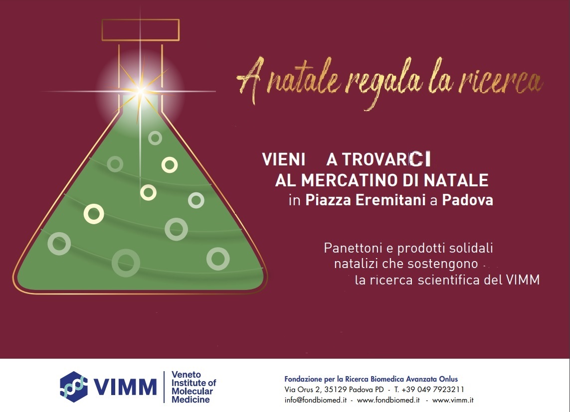 Natale 2023 Piazza Eremitani