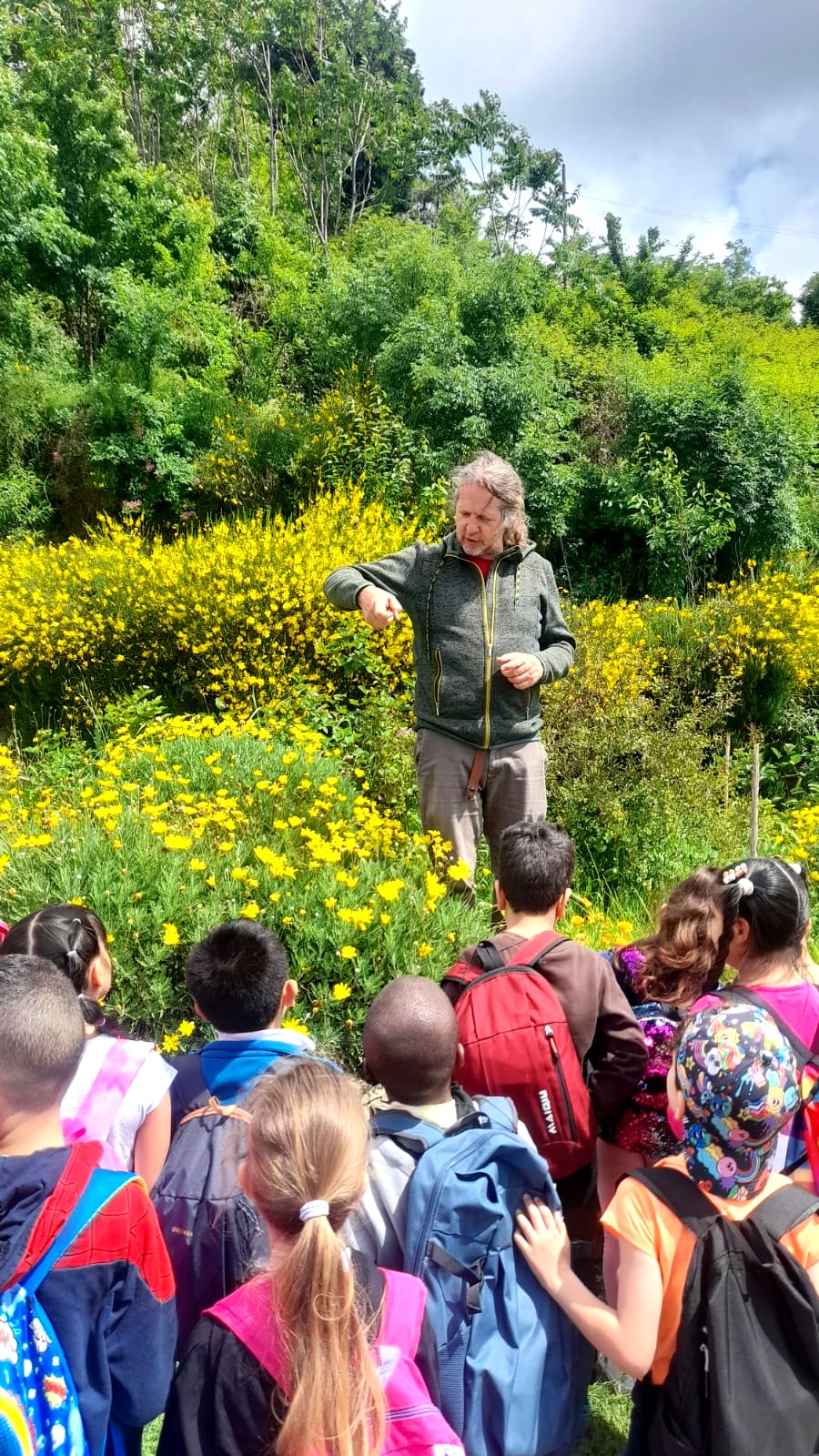 Volontariato ambientale