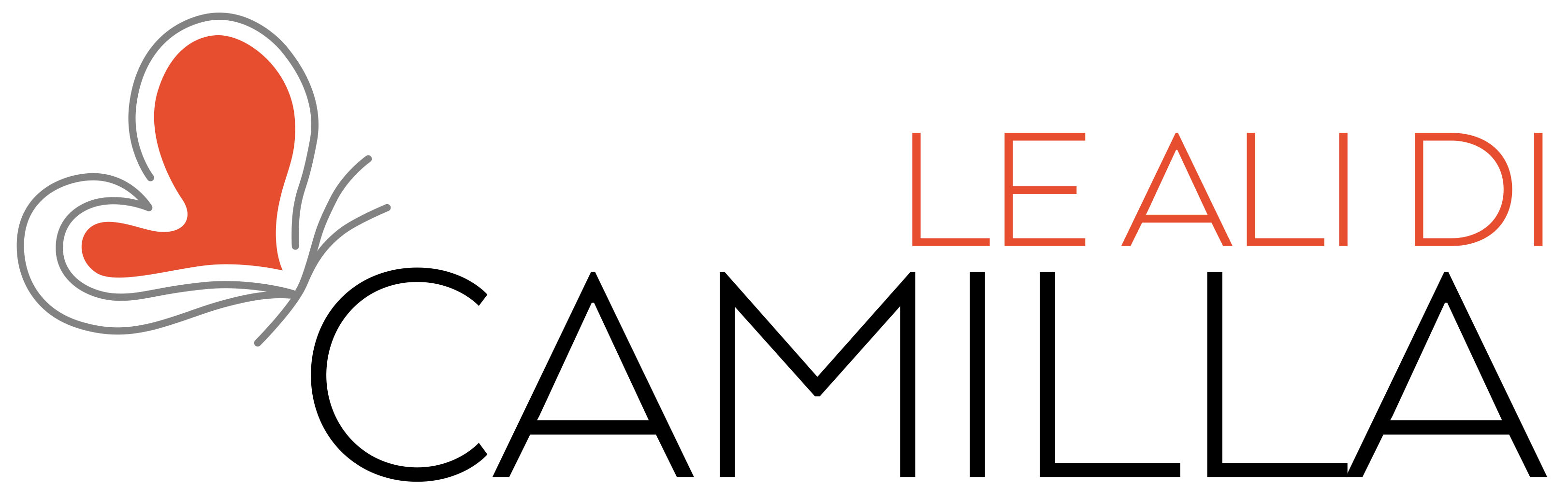 Le Ali di Camilla APS ETS