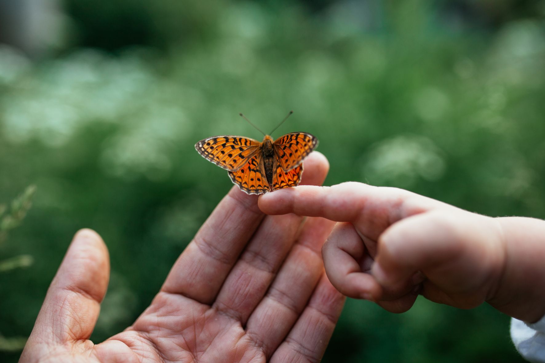 Non perdere i prossimi appuntamenti!