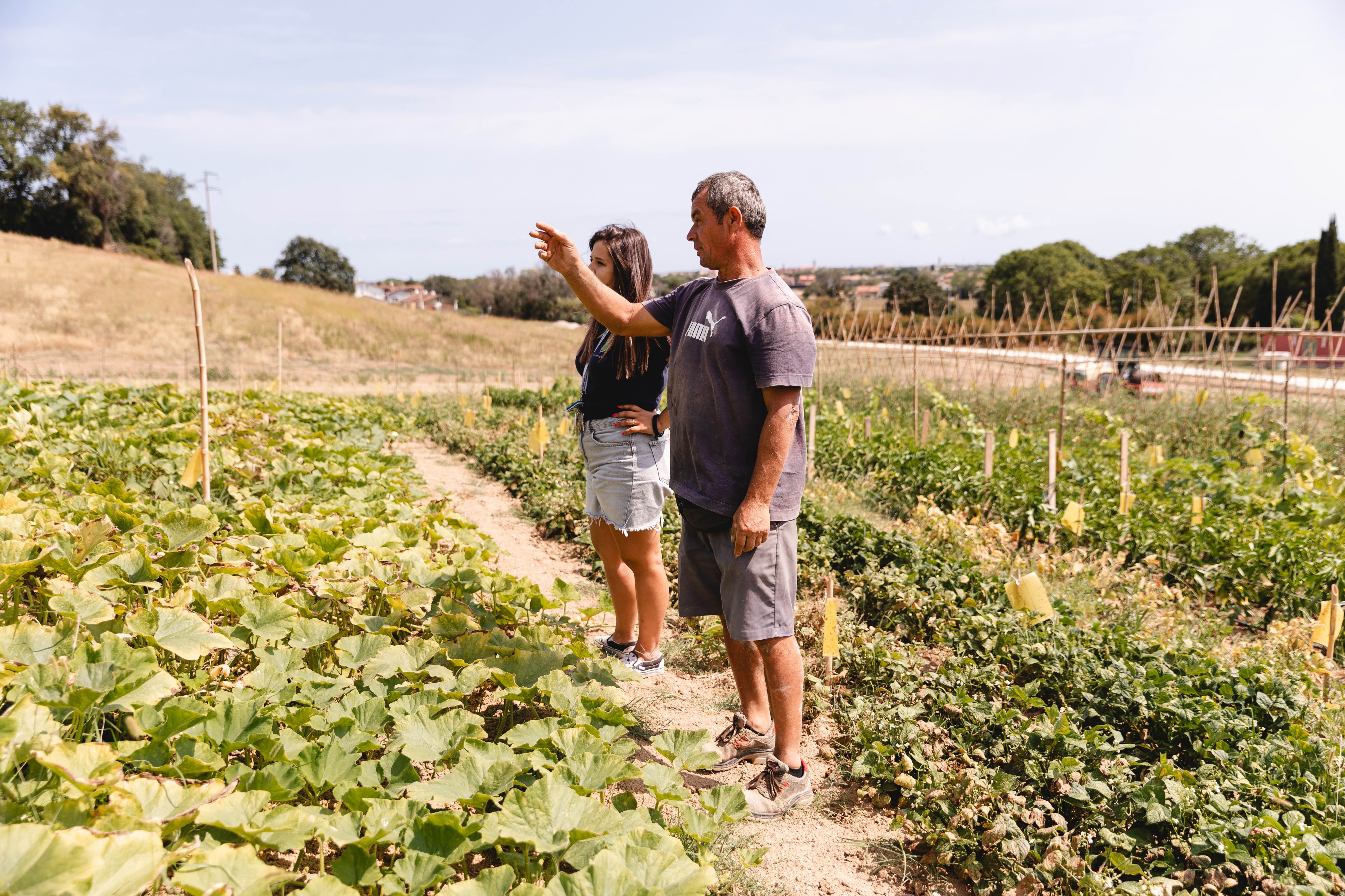 Agricoltura sociale