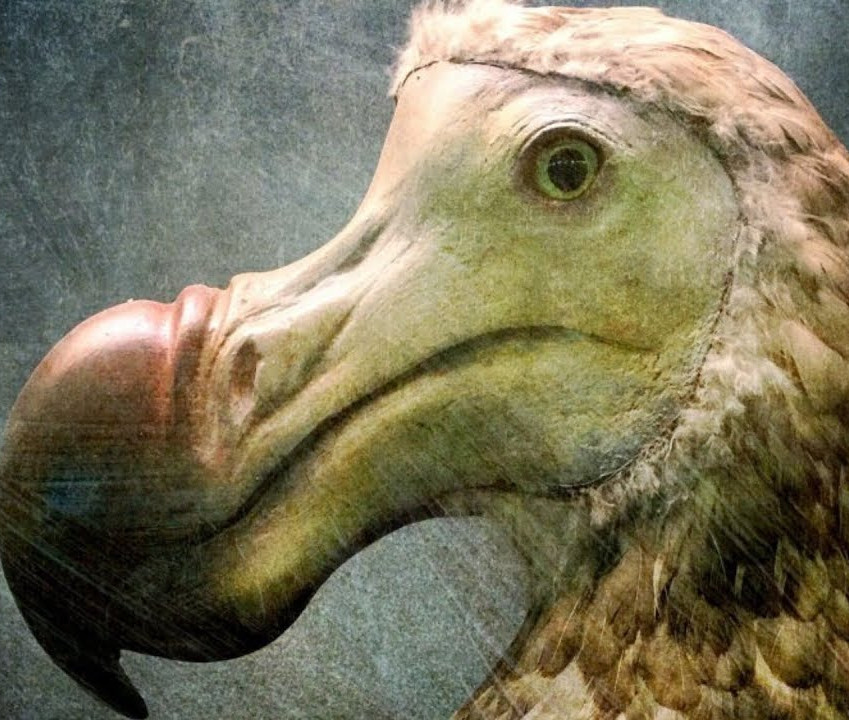 Evento Personal Fundraising