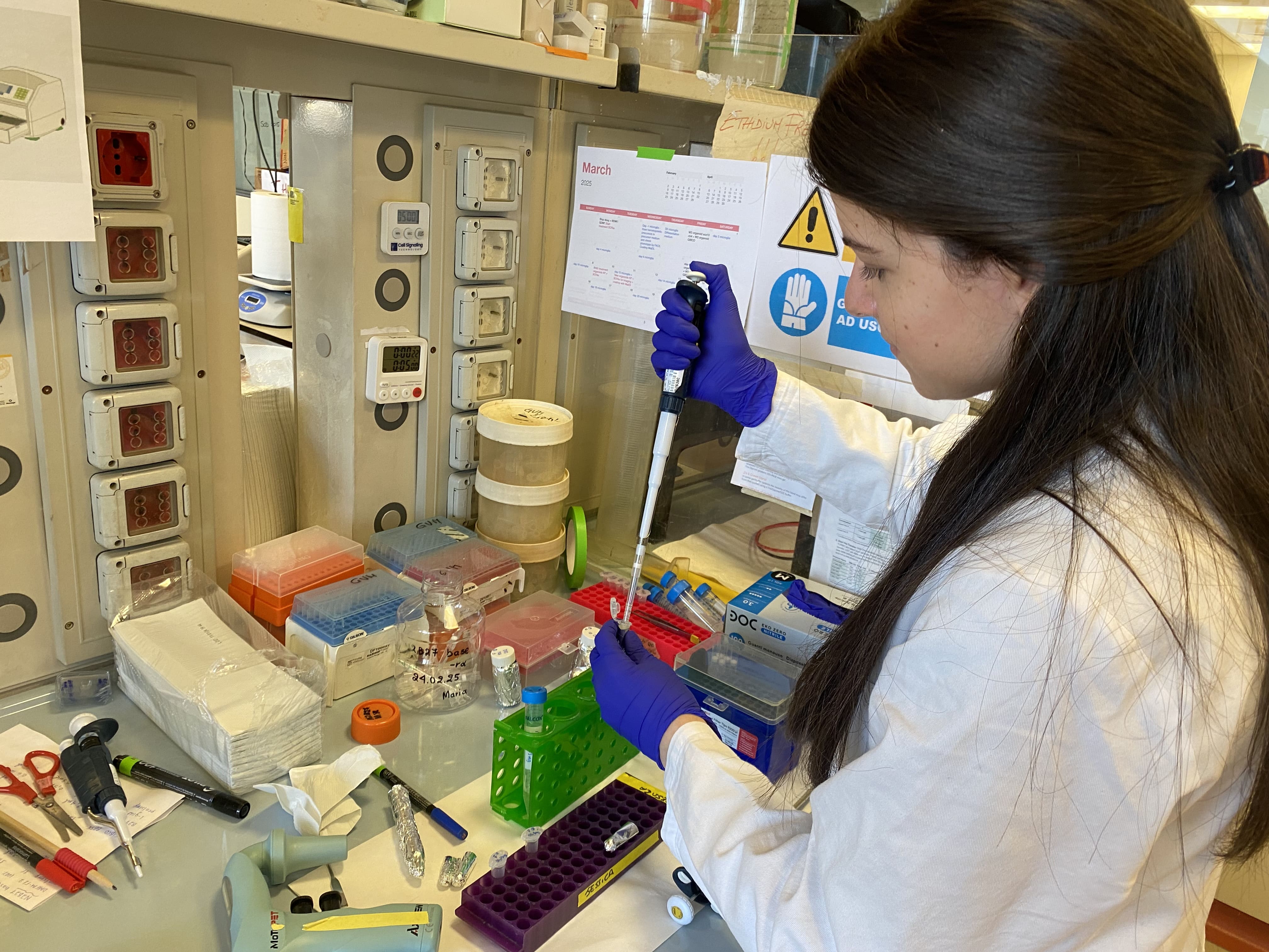 <strong>Donazione libera</strong>