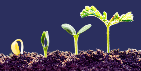 Raccolta fondi Piccolo Principe Onlus - Card